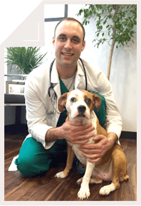 Dr. Cory Waxman veterinarian at Veterinaire Pet Care