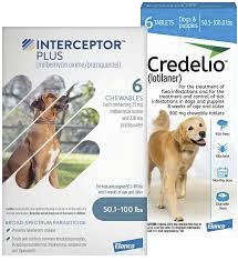 Interceptor and Credelio