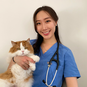 Dr. Diana Choi